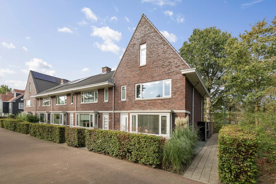 Photo 41 of Bosgeelster 13