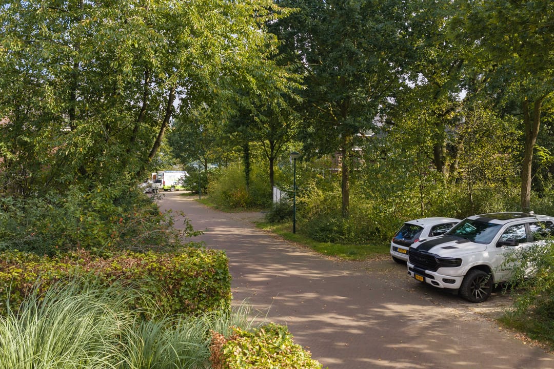 Photo 43 of Bosgeelster 13