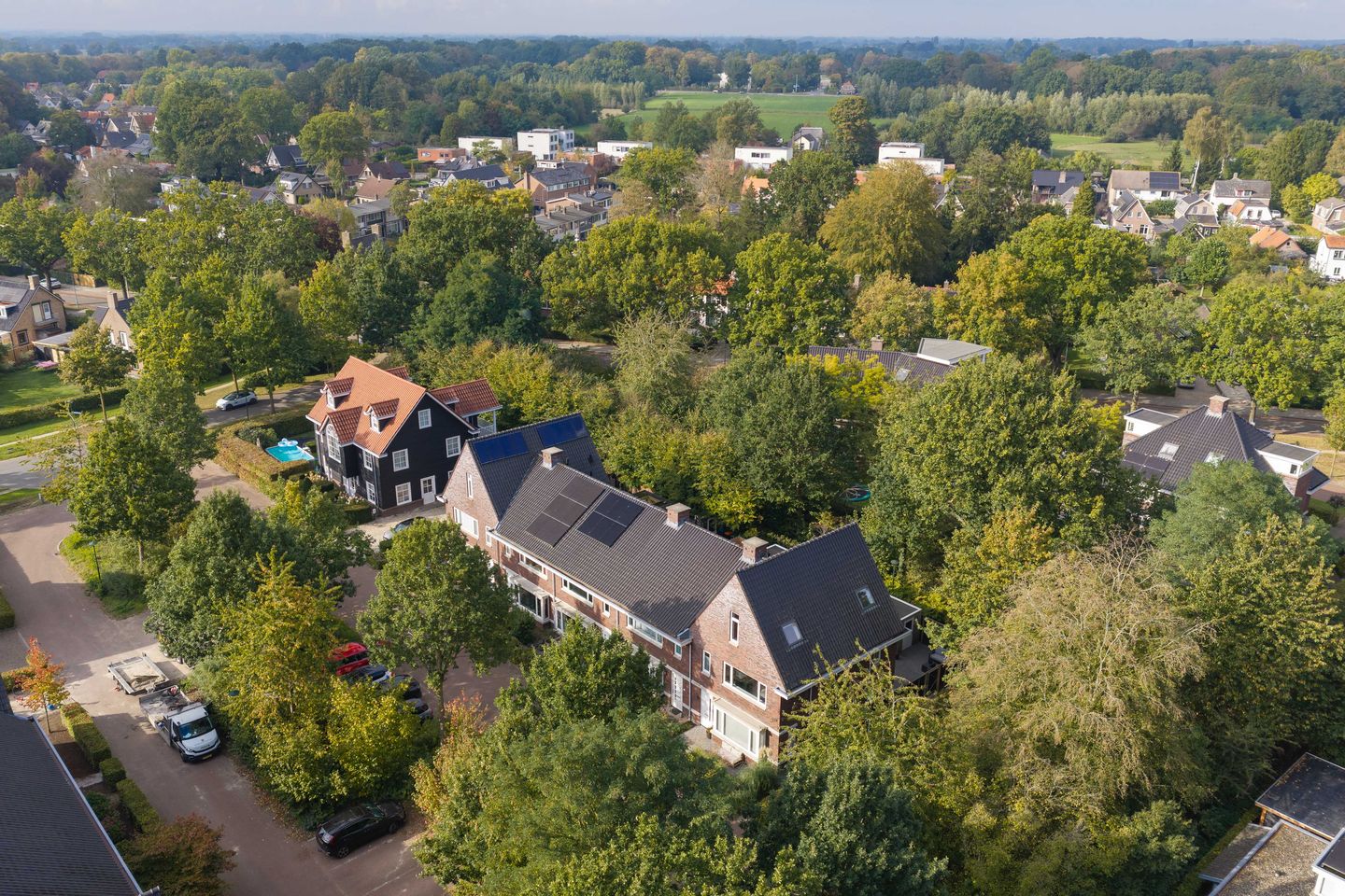 Photo 40 of Bosgeelster 13