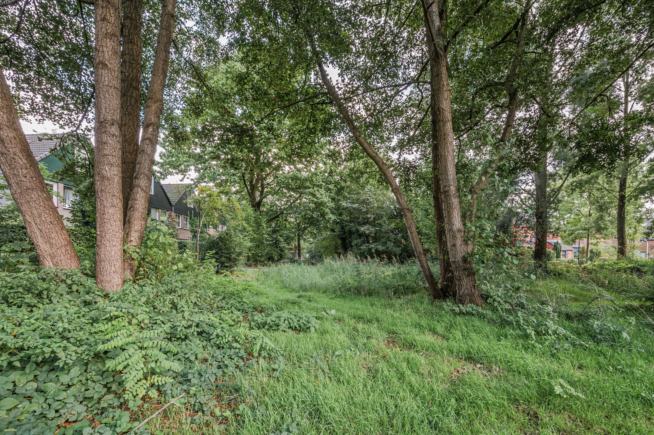 Photo 51 of Vondellaan 57