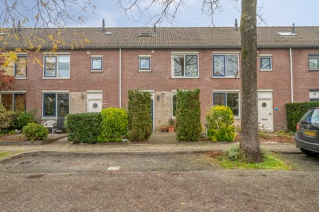 Palladiostraat thumbnail