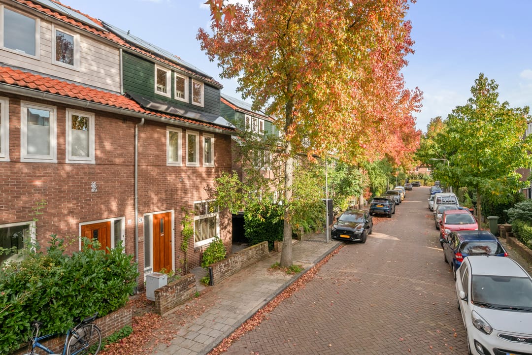 Photo 38 of Van Raephorststraat 24