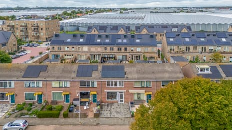 Anjerstraat thumbnail