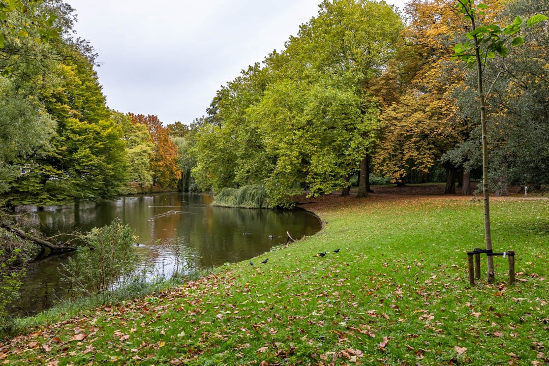 Foto 46 van Nieuwe Boteringestraat 92-B