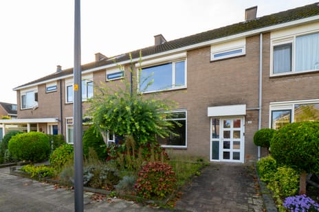 Palmstraat thumbnail