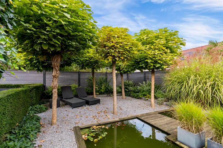 Photo 3 of Langstraat 22