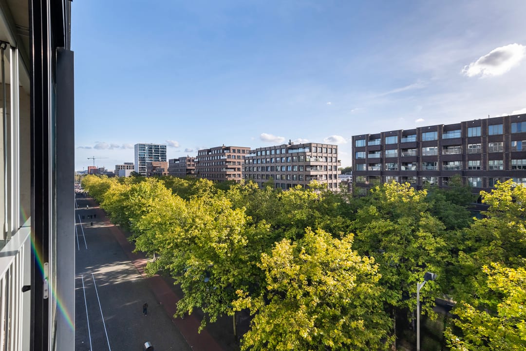 Foto 16 van Laan op Zuid 632