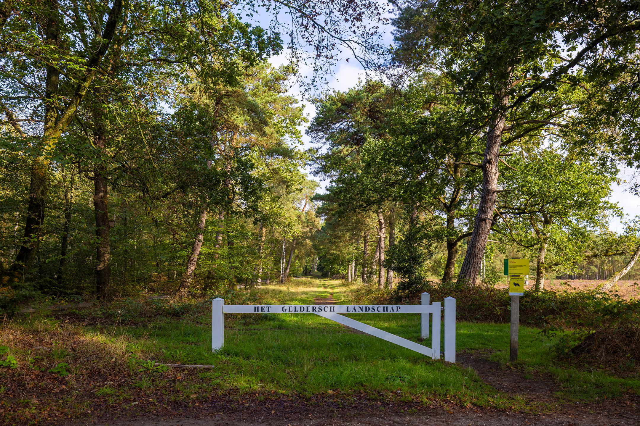 Photo 60 of Kamperweg 60