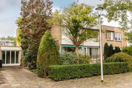 Einthovenlaan thumbnail