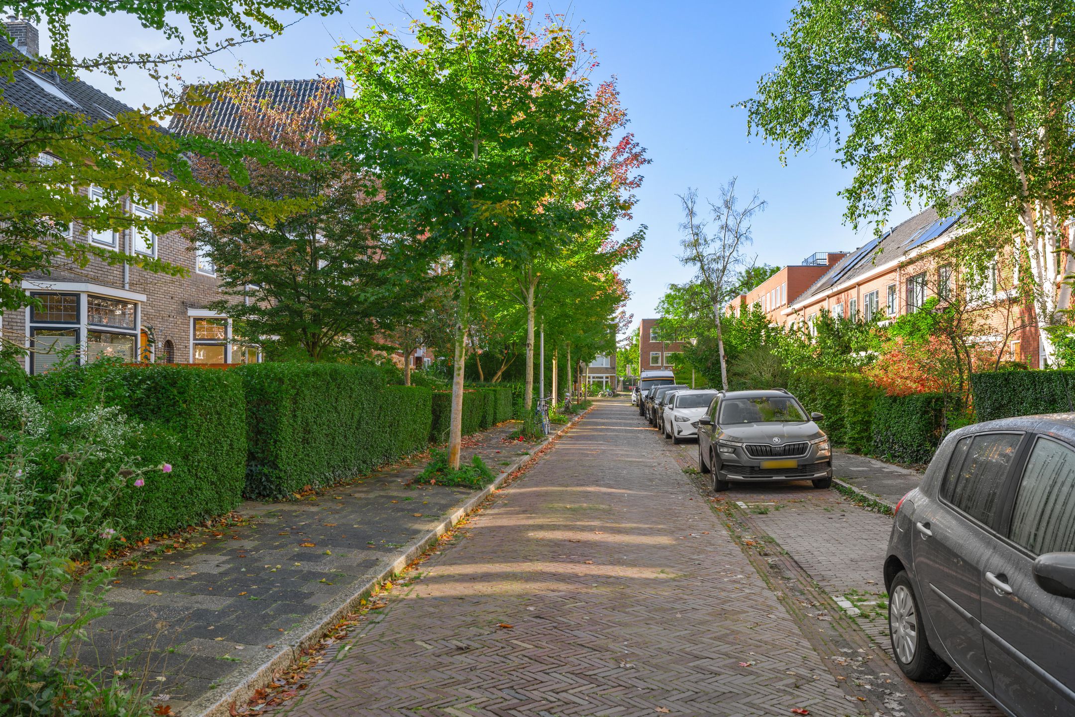 Photo 54 of Van Hamelstraat 13