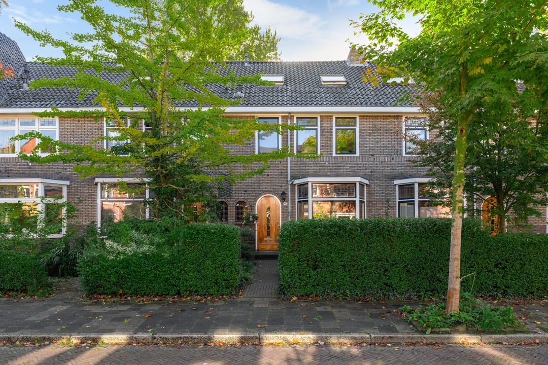 Photo 53 of Van Hamelstraat 13