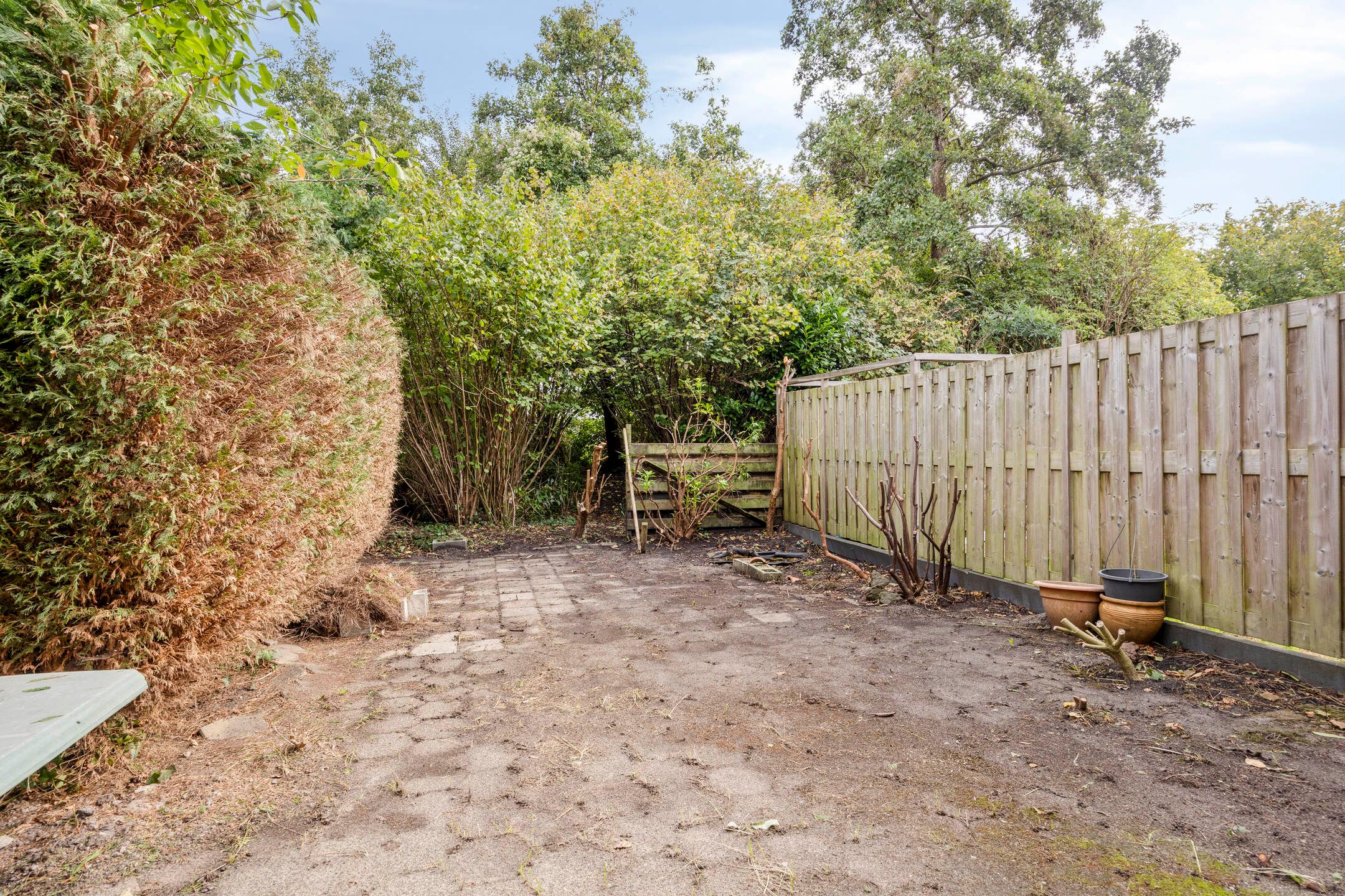 Photo 3 of Rozenwater 19
