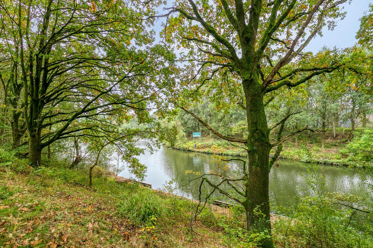 Photo 40 of Hoefblad 78
