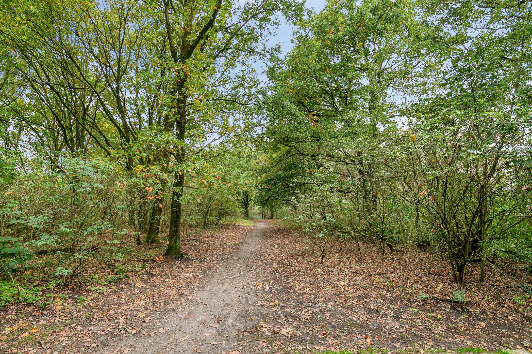Photo 39 of Hoefblad 78