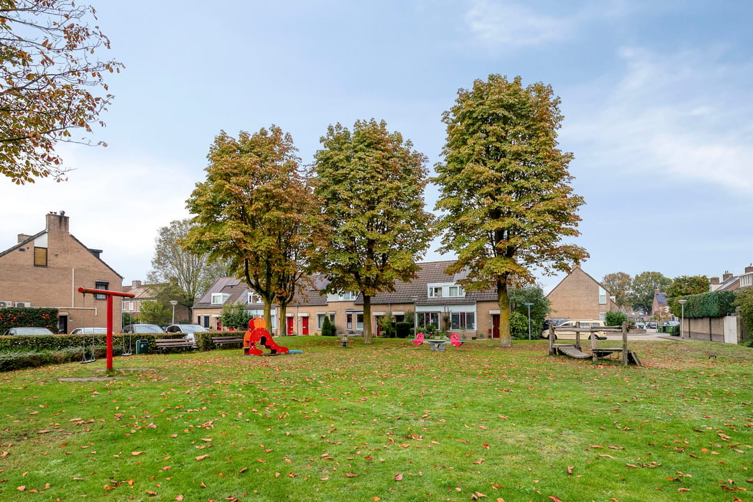 Photo 37 of Hoefblad 78