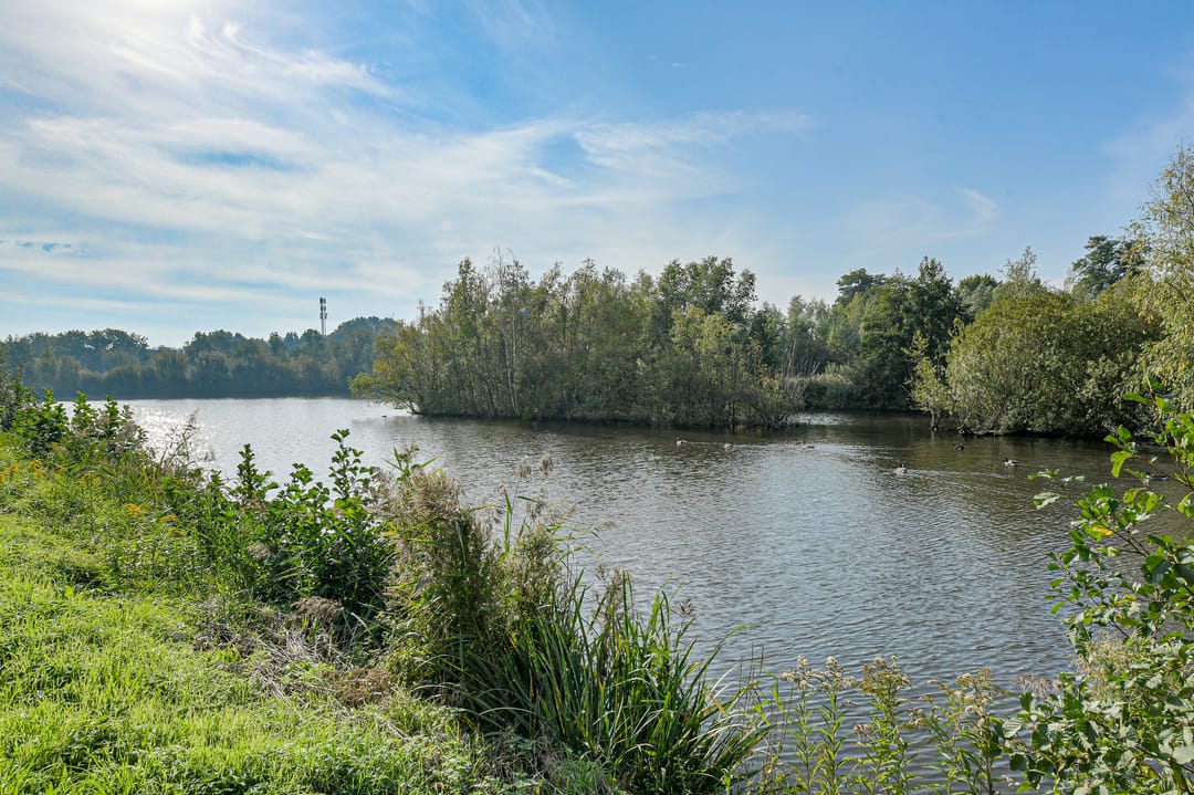 Foto 52 van Waterweegbree 34