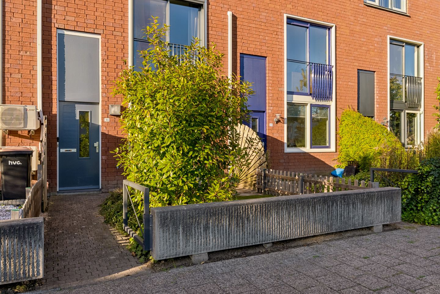 Foto 4 van Zwarte Specht 46