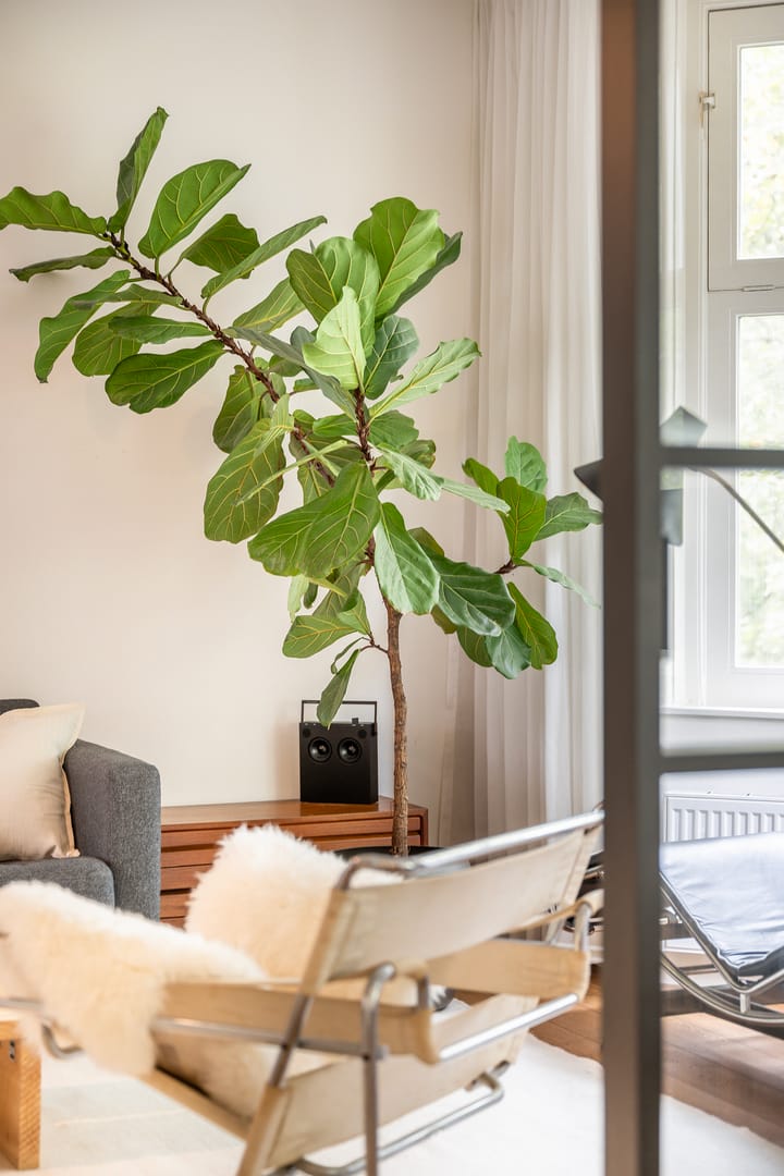 Appartement te koop: Statenweg 73B, Rotterdam