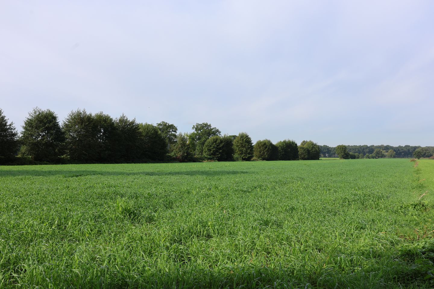 Bekijk foto 3 van Grond nabij Hoofdweg 47