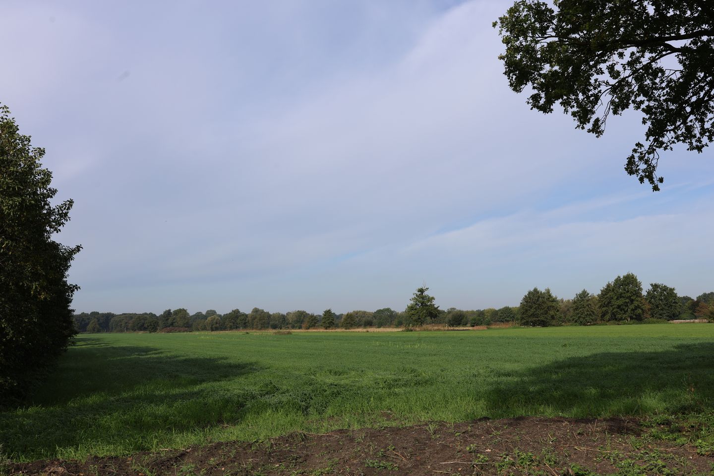 Bekijk foto 2 van Grond nabij Hoofdweg 47
