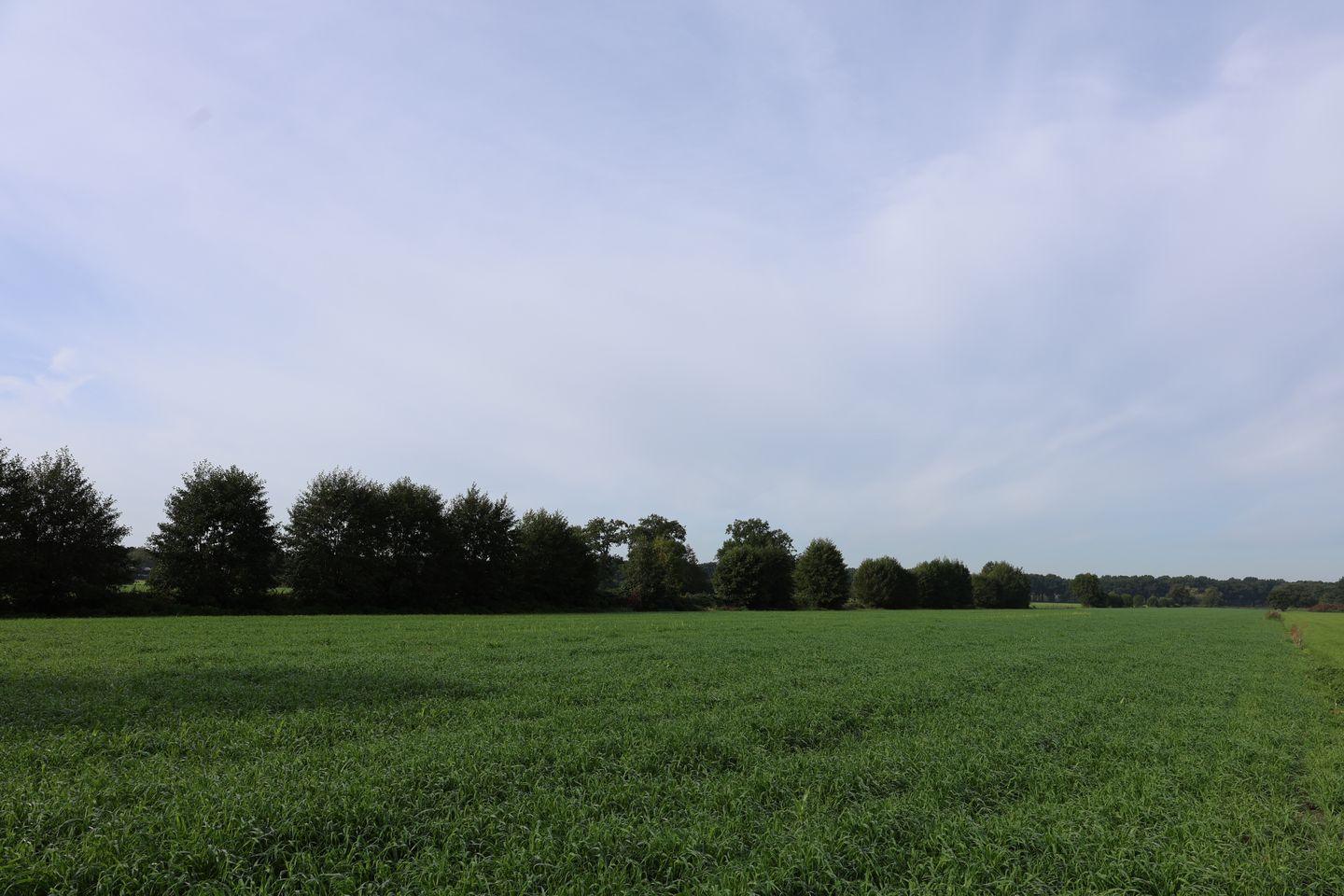 Bekijk foto 4 van Grond nabij Hoofdweg 47