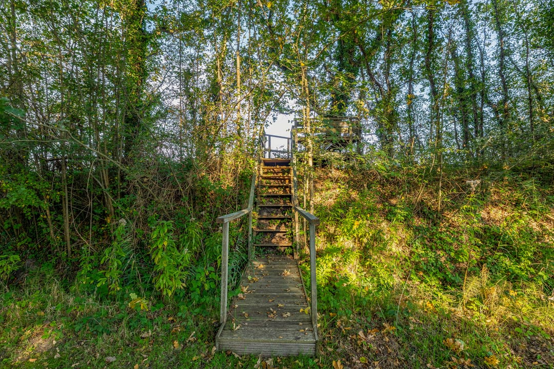 Photo 86 of Dijkstelweg 58