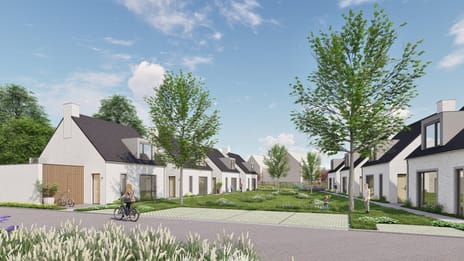Nieuwstraat thumbnail