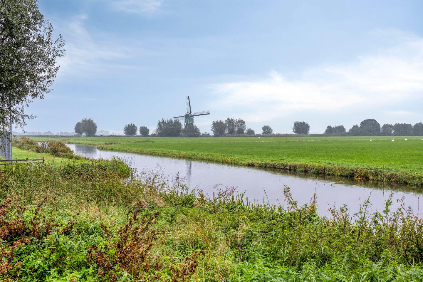 Photo 55 of Willem-Alexanderstraat 17