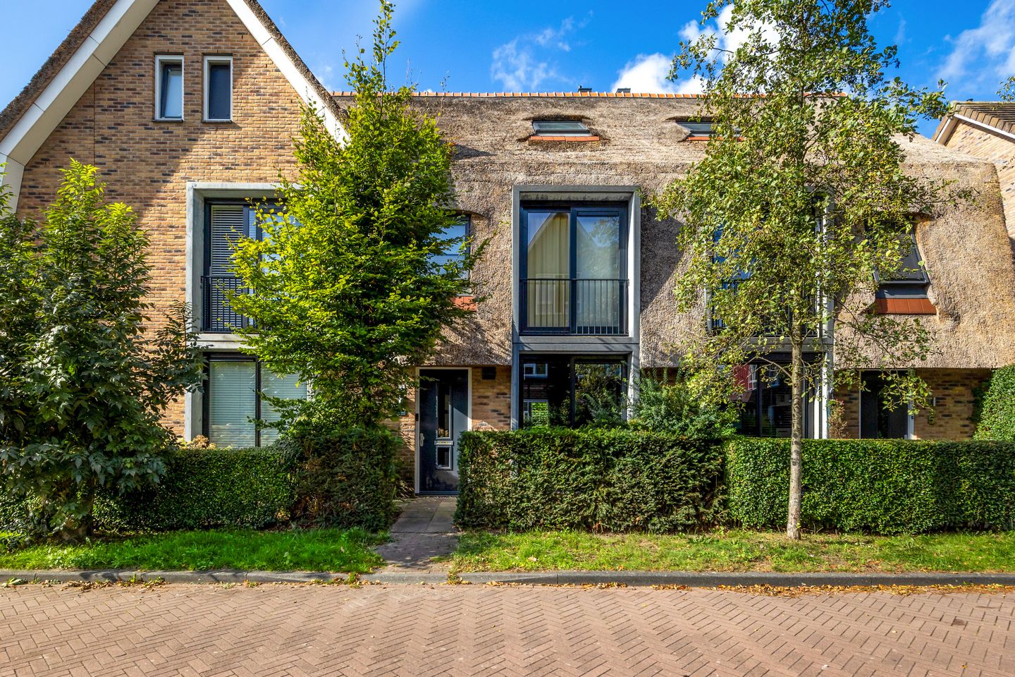 Foto 1 van Riezebezem 3
