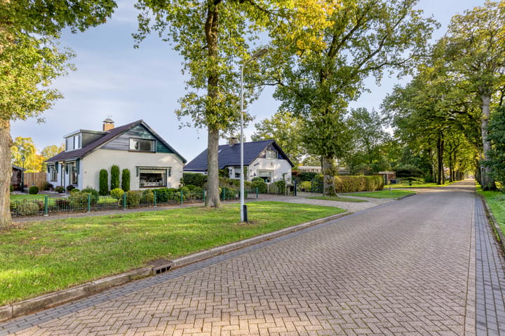 Foto 4 van Oosterse Es 43-E