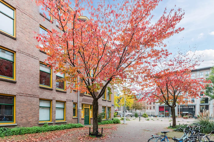 Foto 4 van Langkatstraat 6