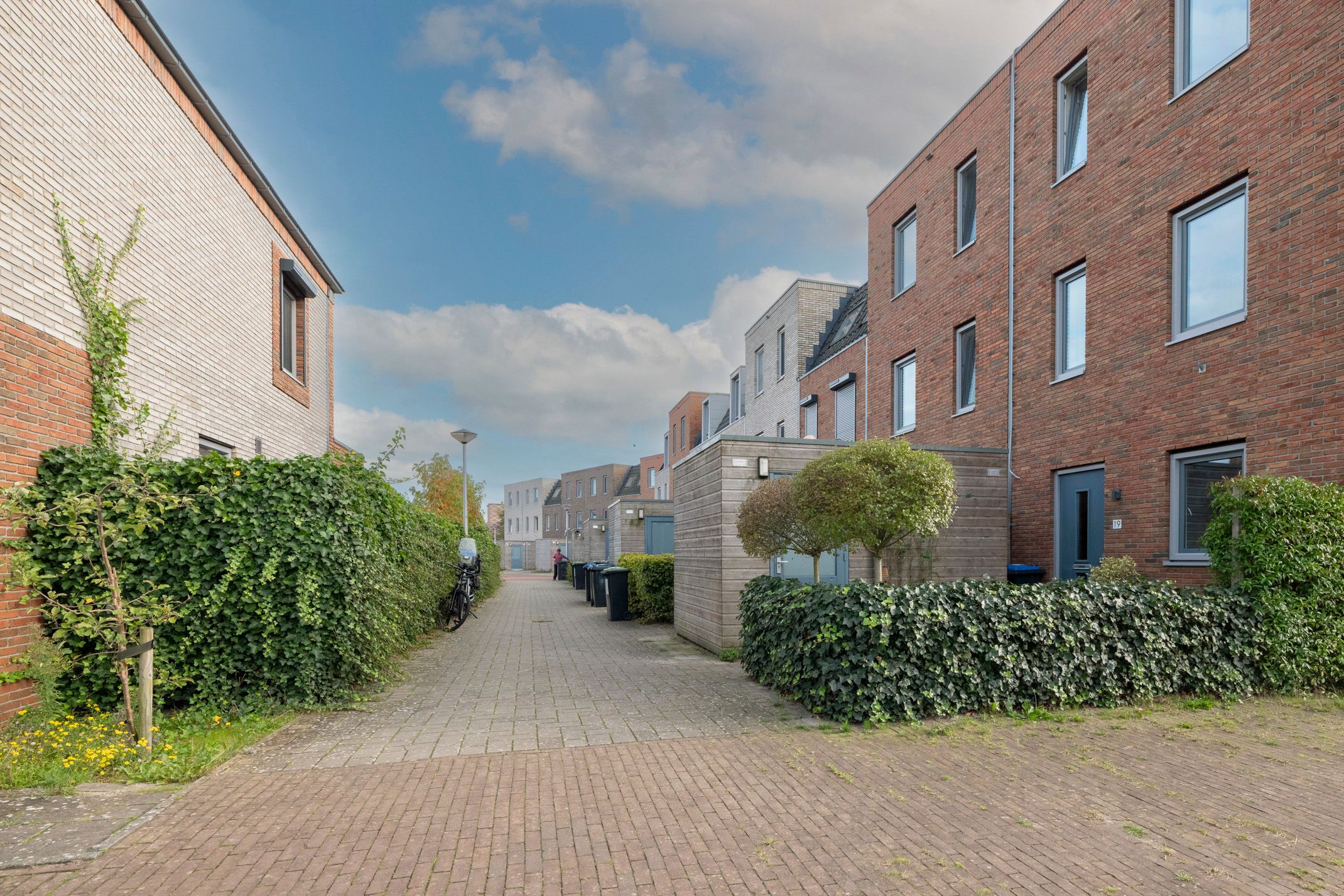 Foto 42 van Wout van Vliethof 19