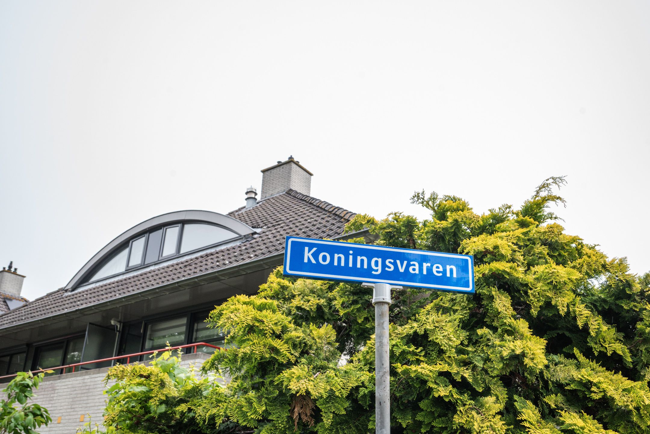 Photo 57 of Koningsvaren 2