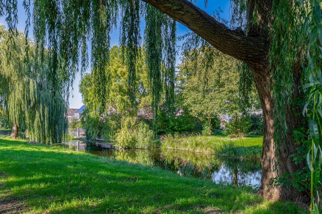 Photo 8 of De Zevenhoeven 115