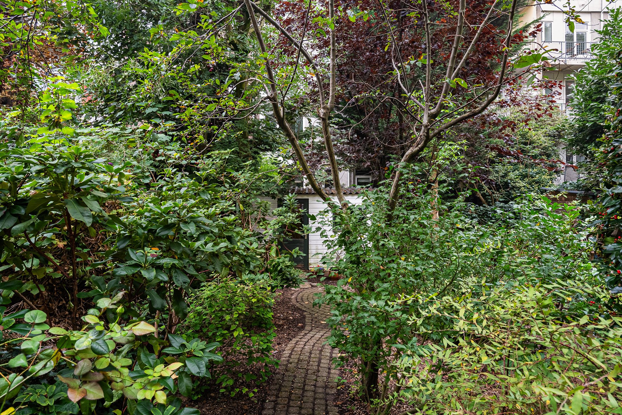 Photo 33 of Henegouwerlaan 41-A