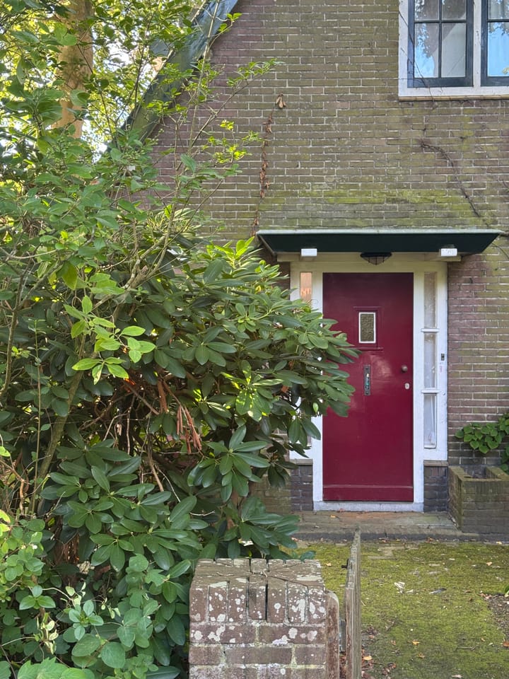 Foto 4 van Doorntjes 8