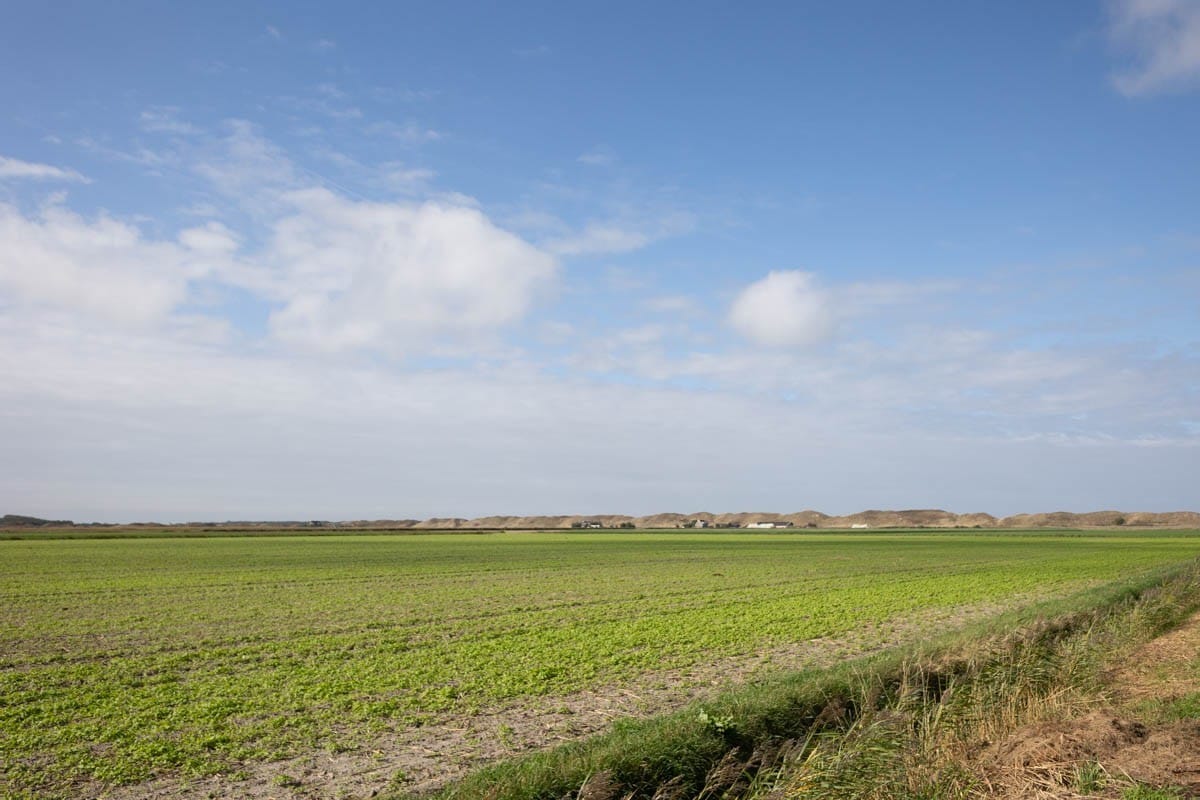 Photo 33 of Muyweg 13