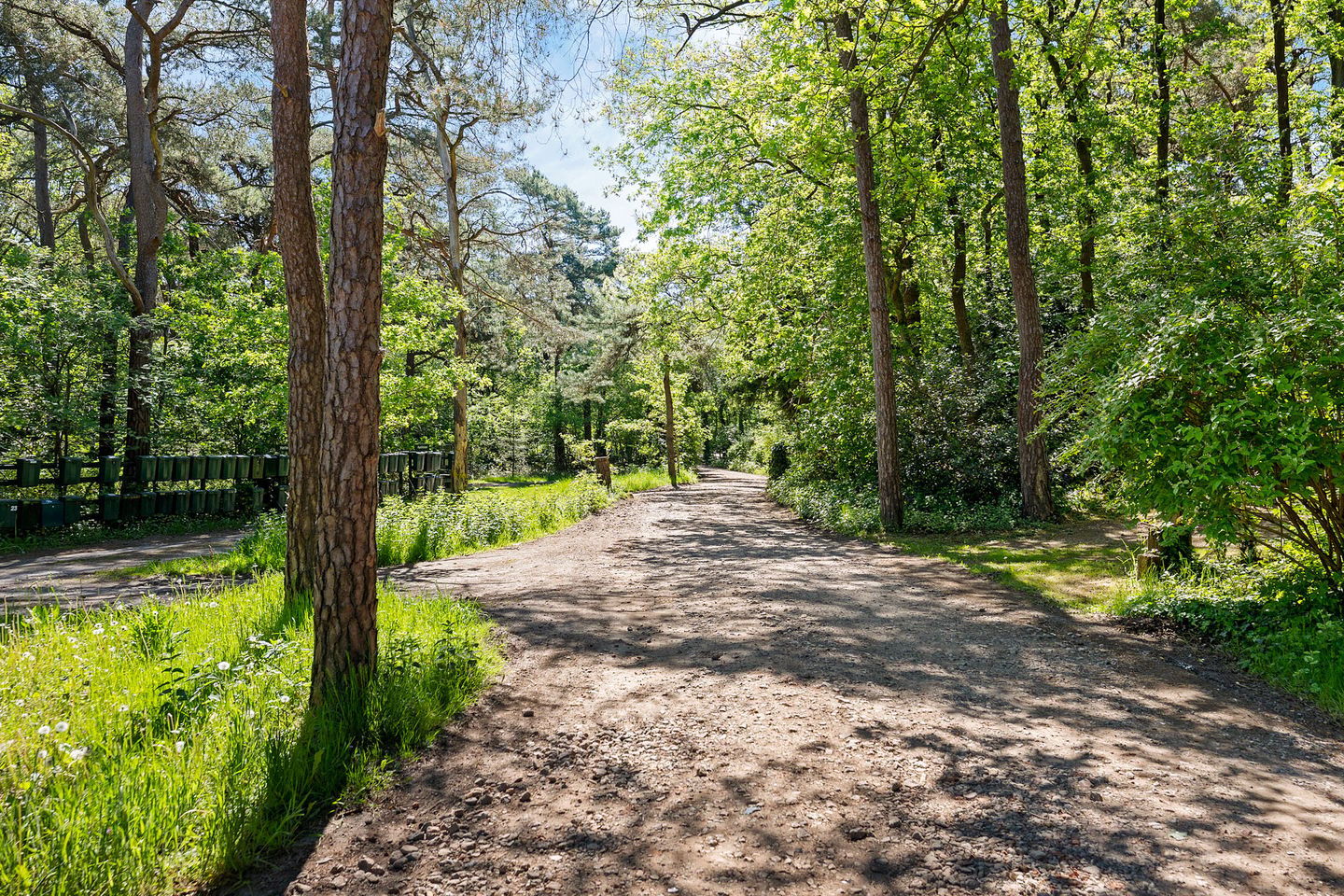 Foto 44 van Peizerpad 6