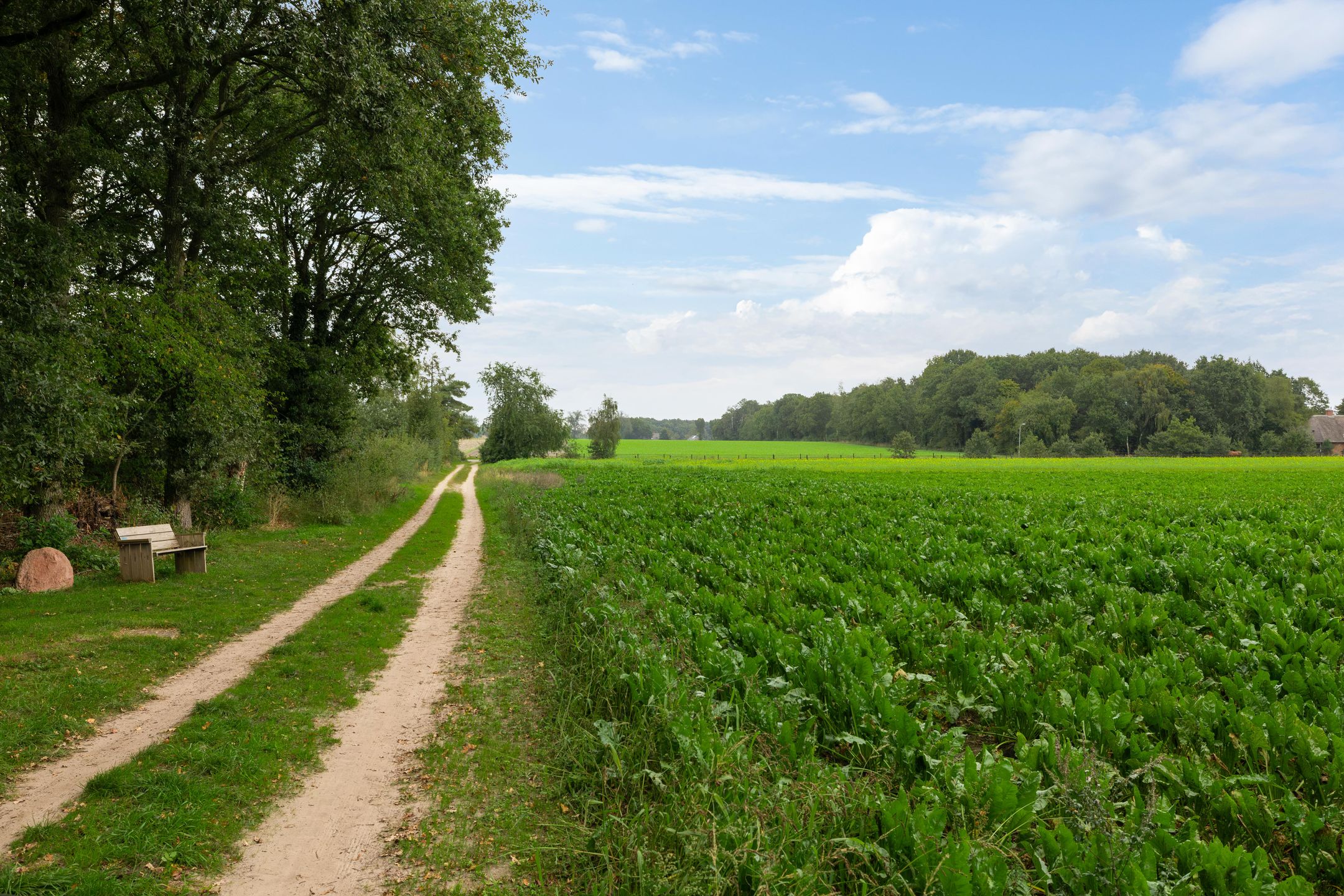 Photo 84 of Achter 't Hout 6