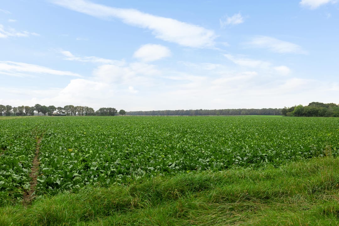 Photo 83 of Achter 't Hout 6