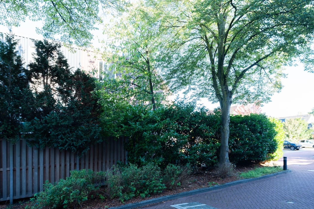 Foto 46 van Engelsholm 91