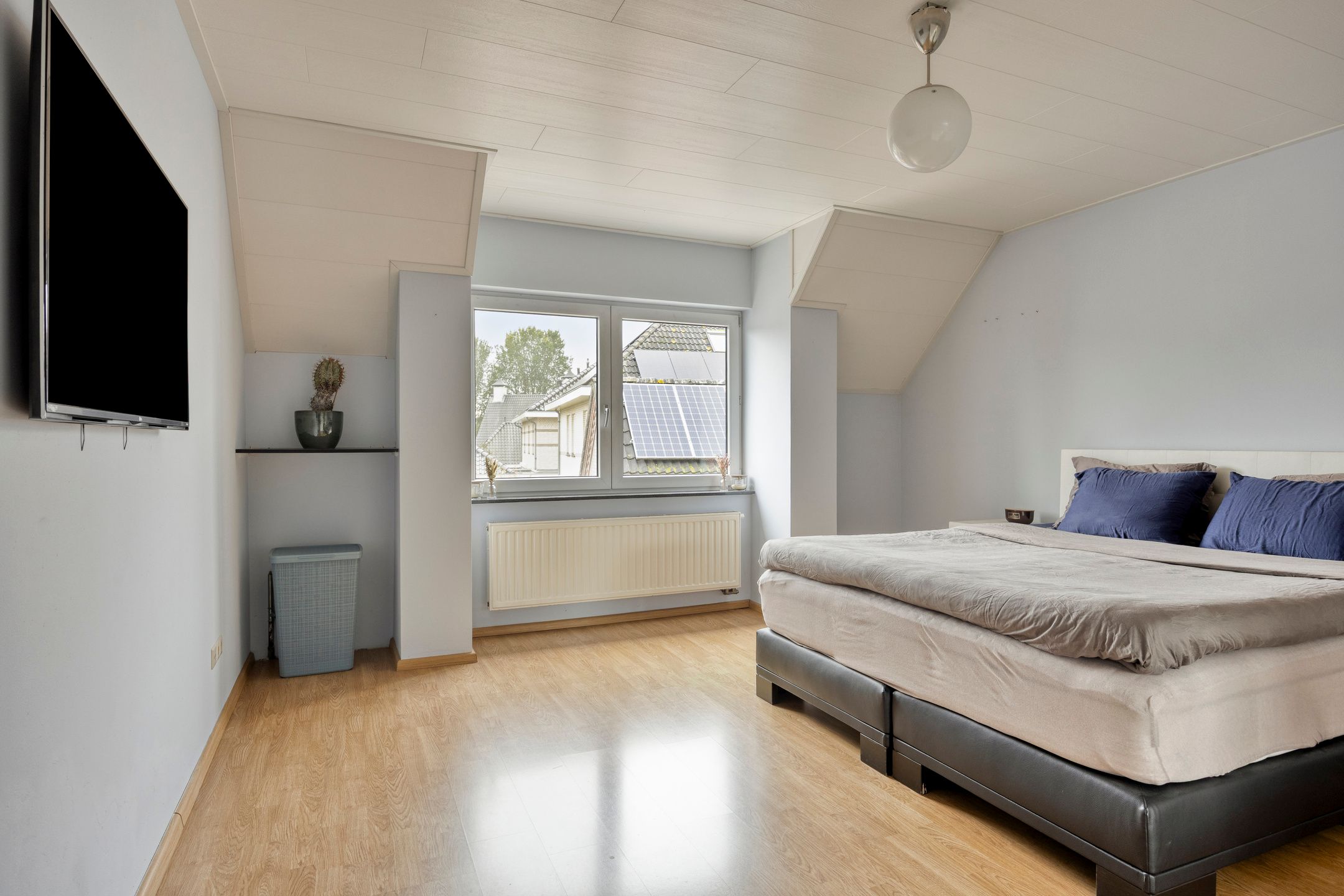 Photo 21 of Sleutelbloem 21