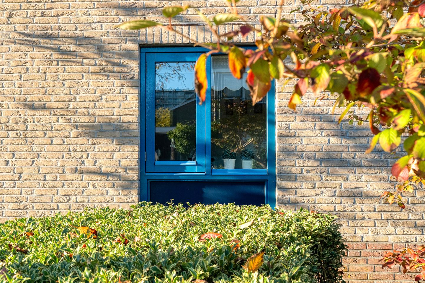 Photo 44 of Bremstraat 22
