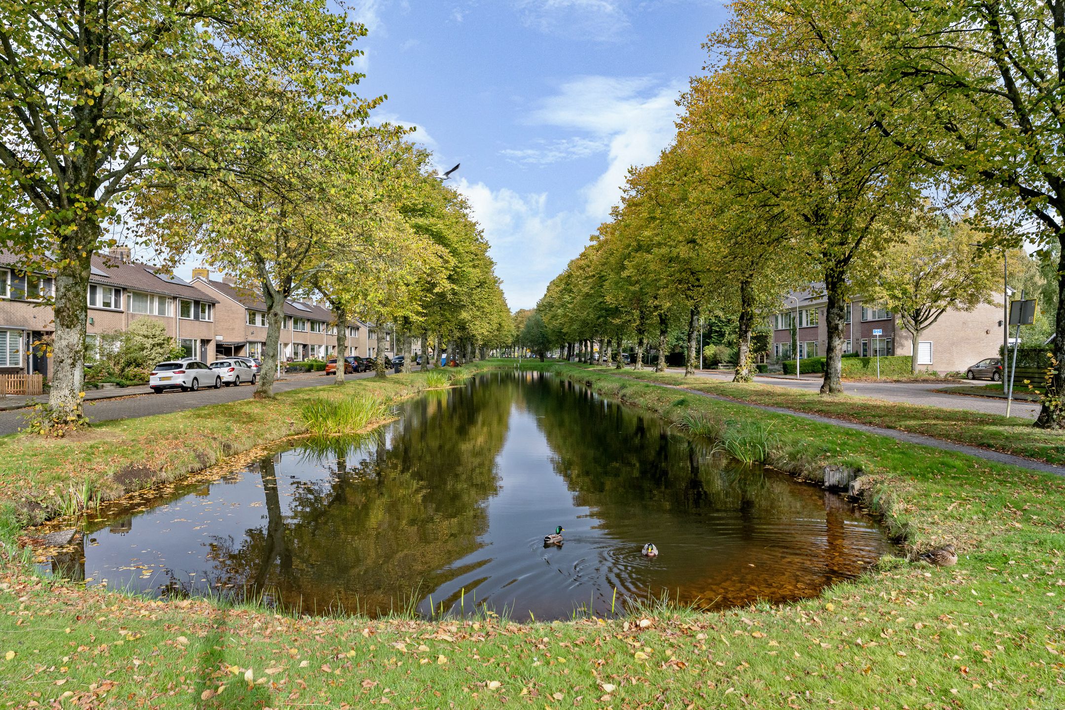 Foto 45 van De Ee 46