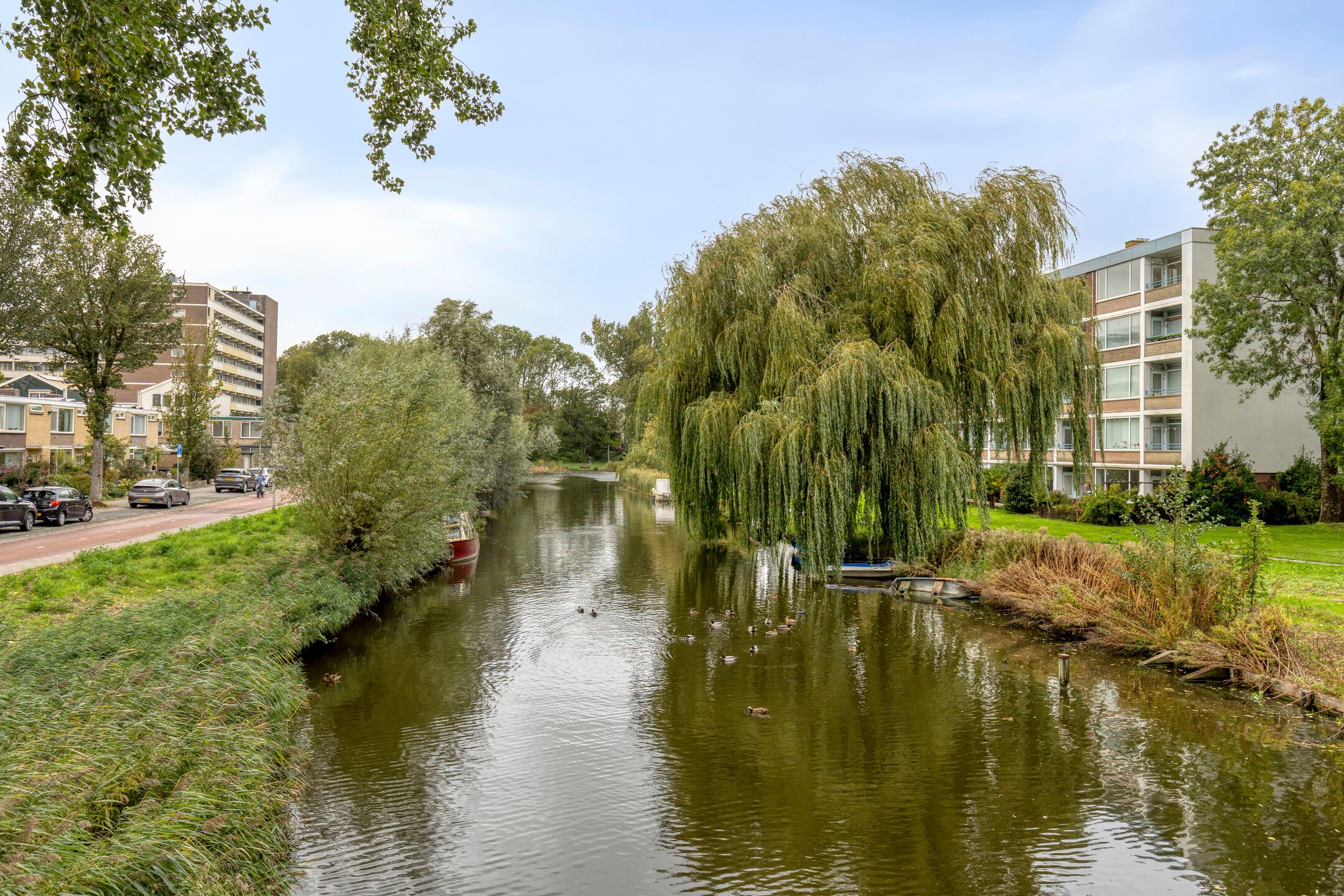 Photo 24 of Pinksterbloemweg 16