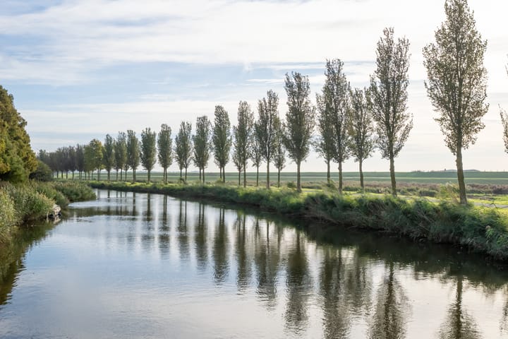 Photo 2 of Poldermolen 3