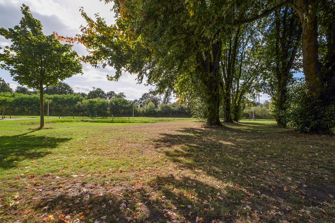 Photo 26 of Roelof van Schevenstraat 66
