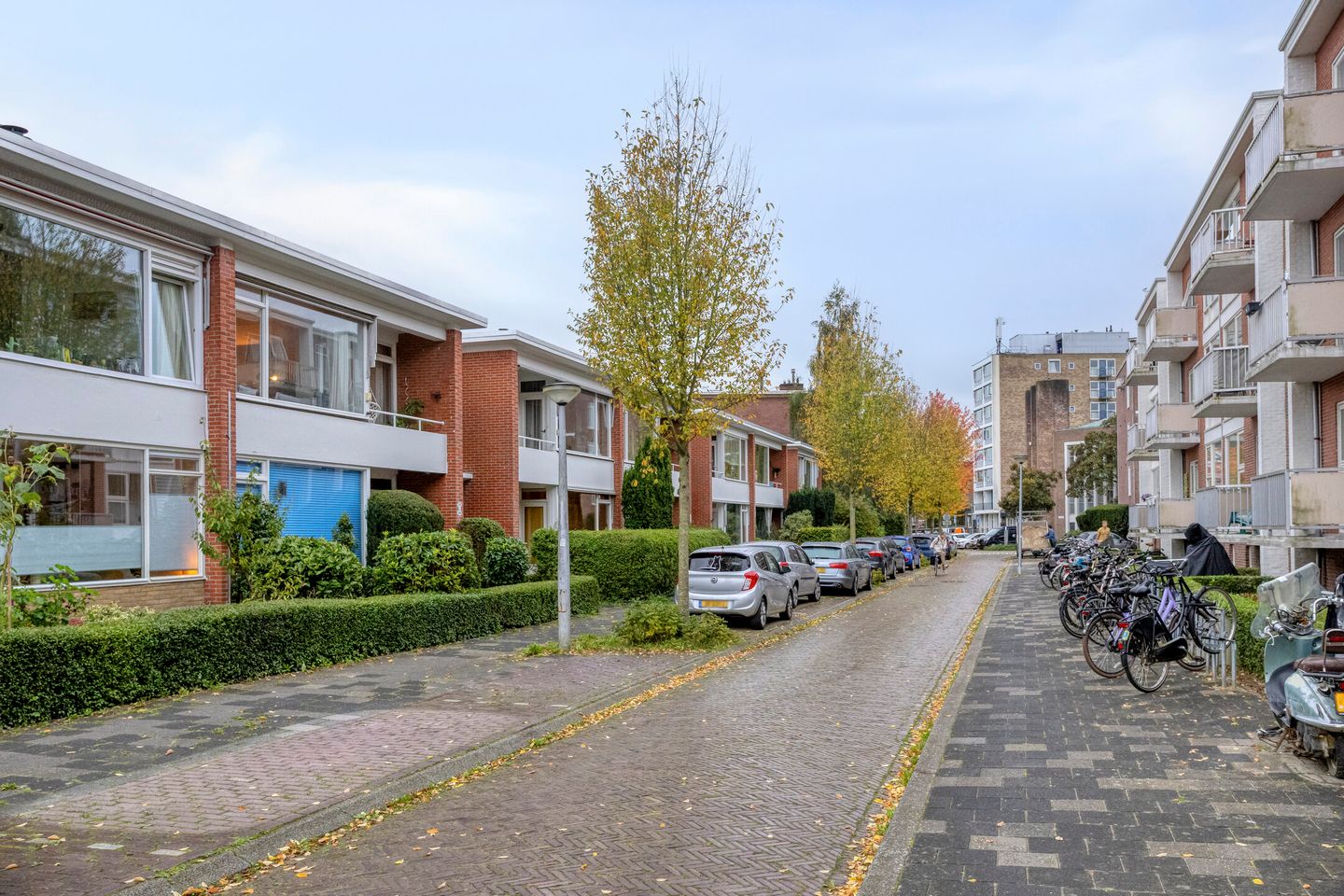 Foto 49 van Snelliusstraat 38