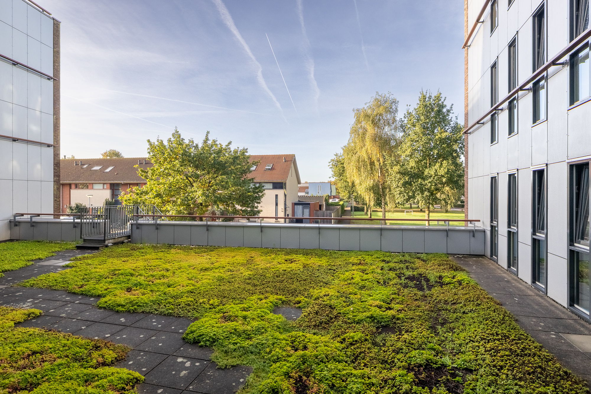 Photo 39 of Oldenallerhout 70