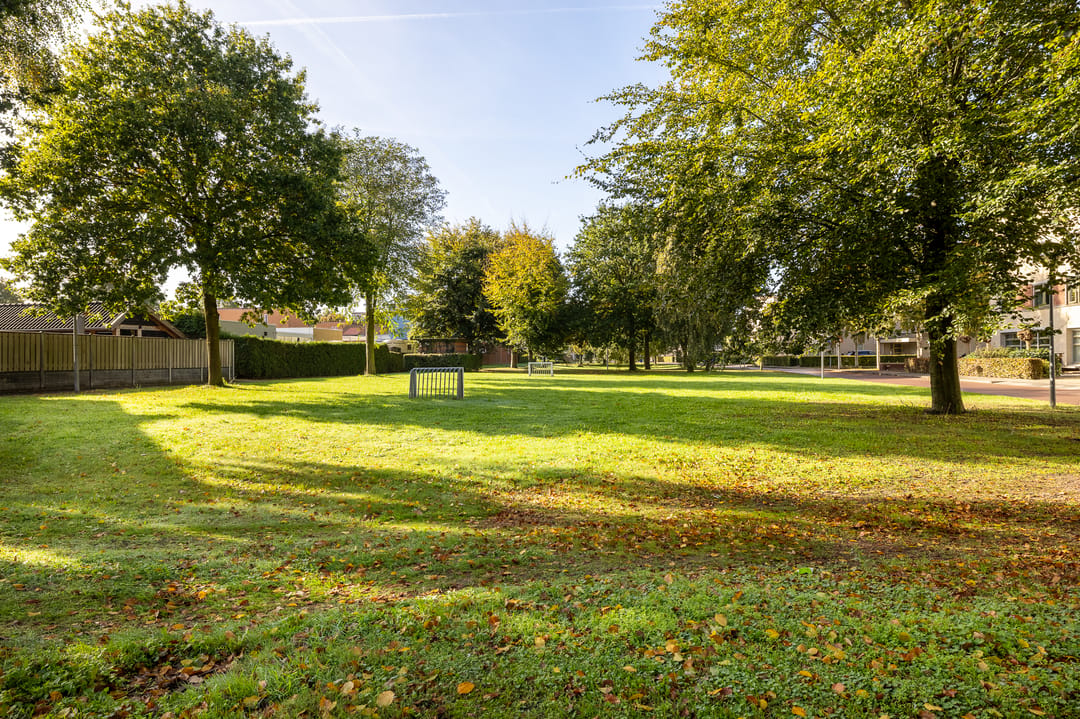 Photo 47 of Oldenallerhout 70